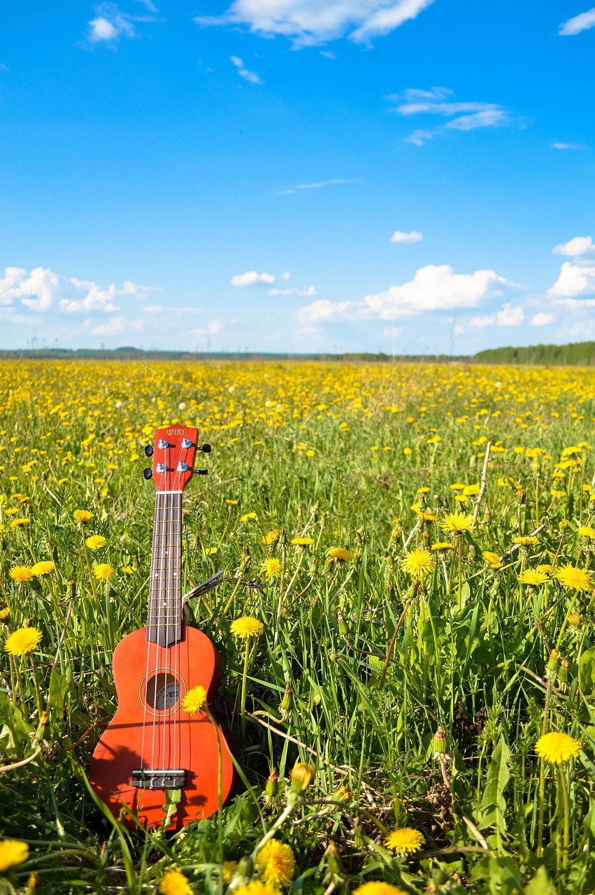 flower, guitar, sky-1835567.jpg