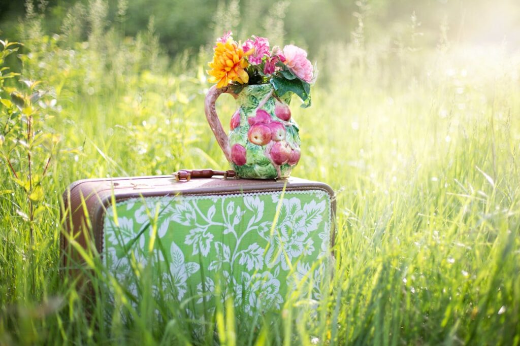 summer-still-life-suitcase-in-field-grass-summer-35799.jpg