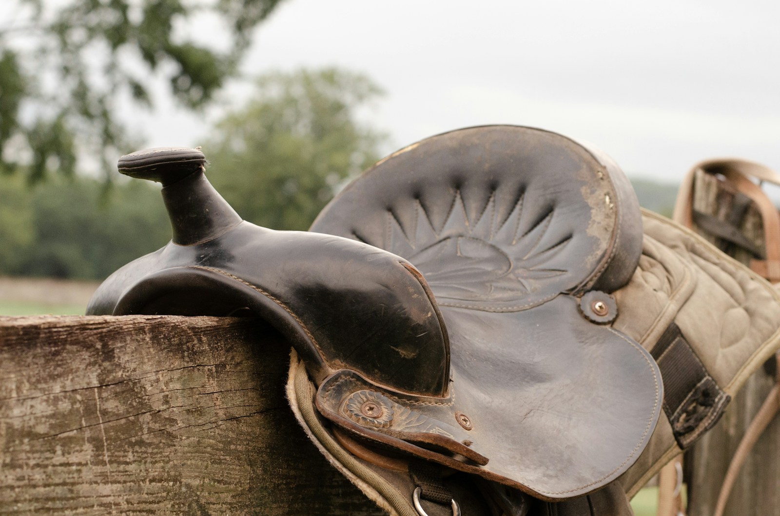 a close up of a saddle